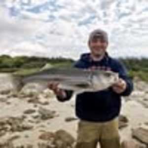 Meet your Posher, Brendan